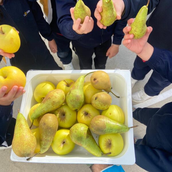 Hábitos saludables para niños